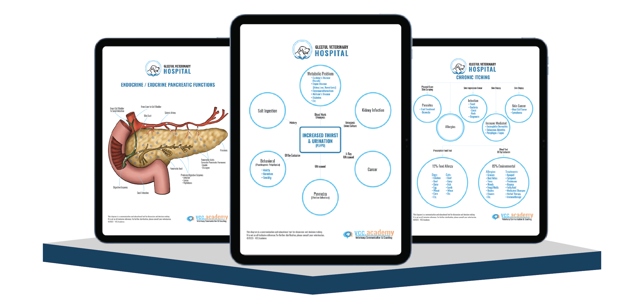 diagrams for veterinarians to use at veterinary hospitals