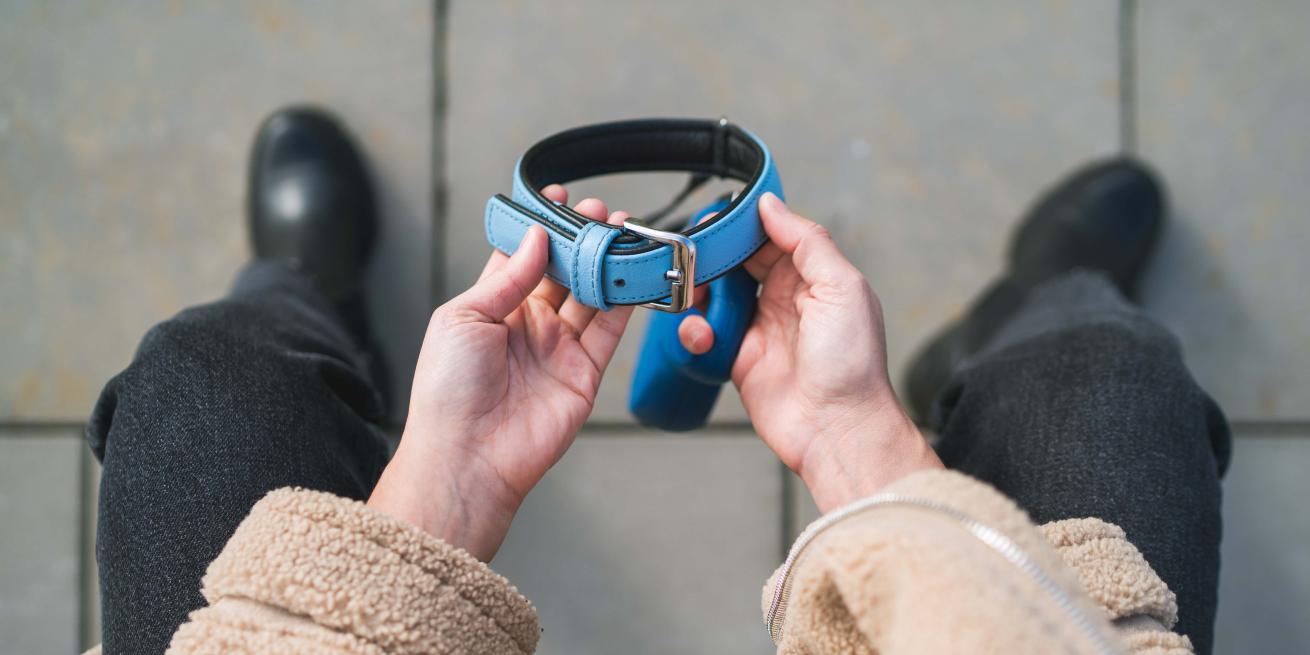 grieving pet owner holding dog collar