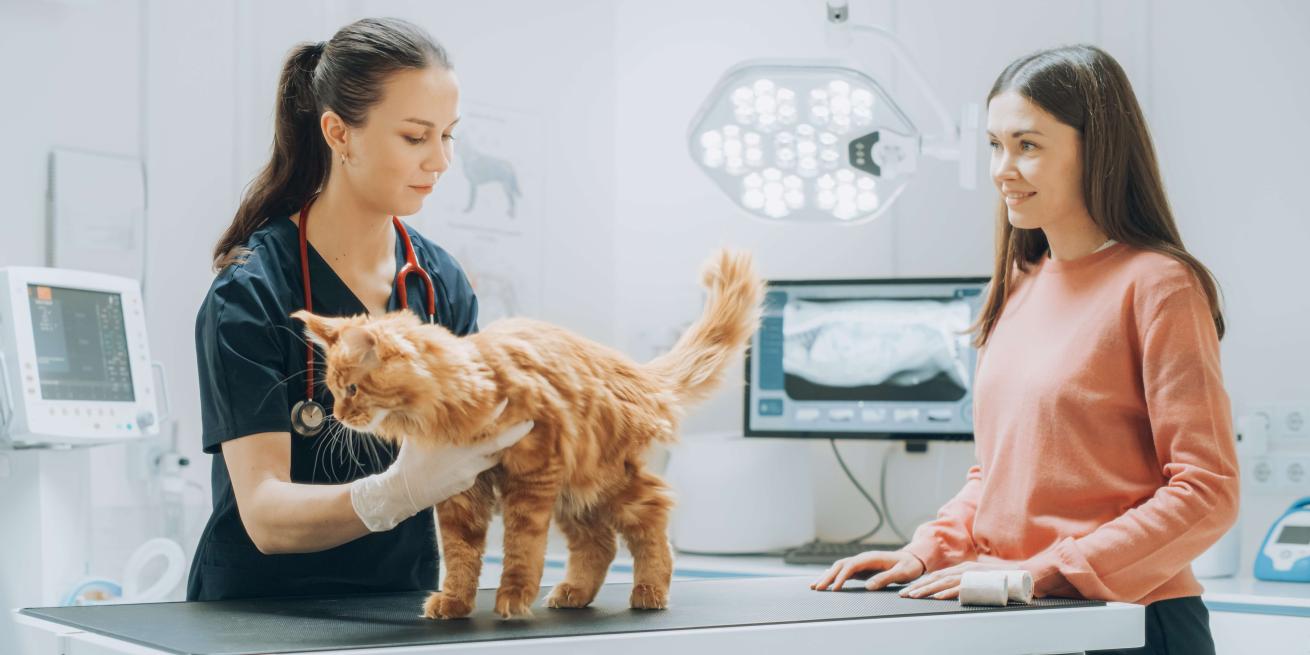 veterinarian educating pet owner