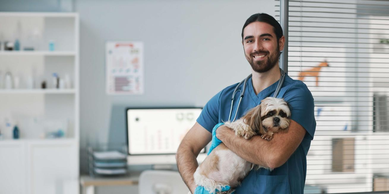 veterinarian holding dog