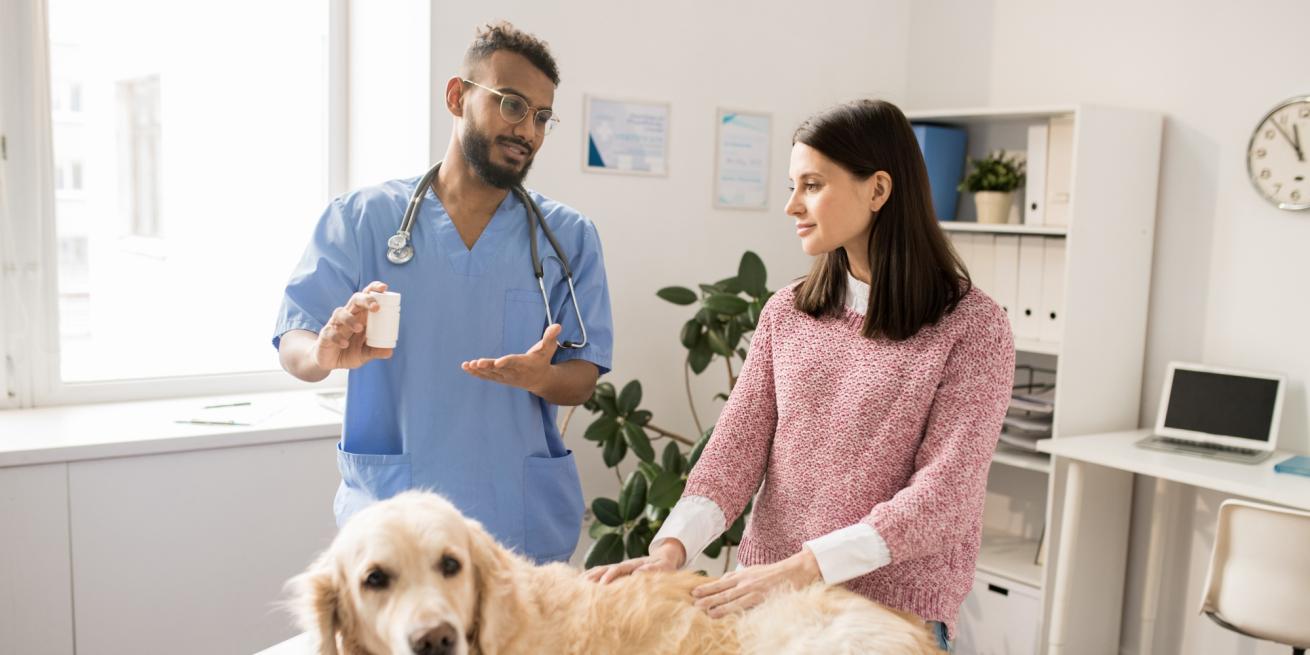 veterinarian selling to client